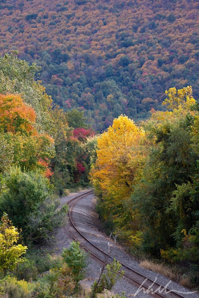 DSC_1836 - Autumn