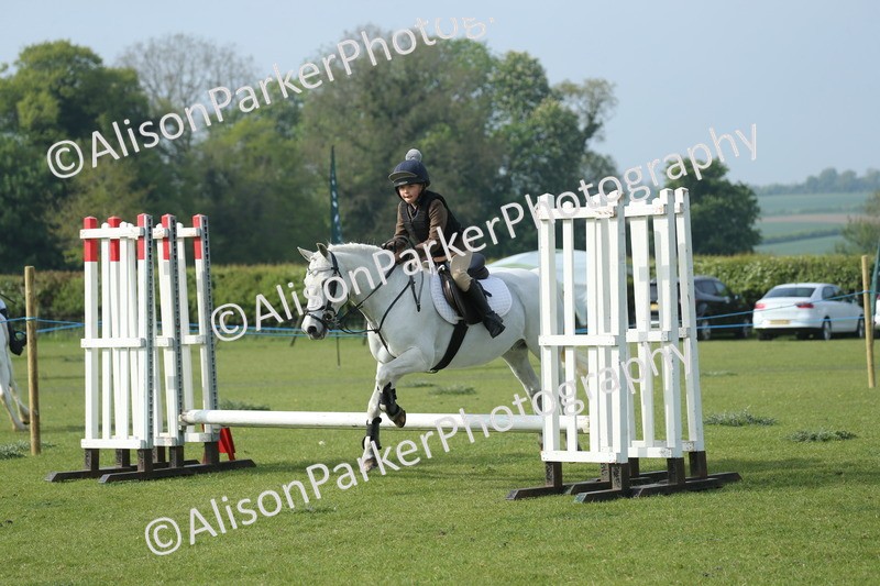 20260426-0134 - Class 13 - Rookie Jumping 50cm