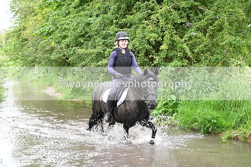 WJ7_2173 - Camera 2 Water Crossing