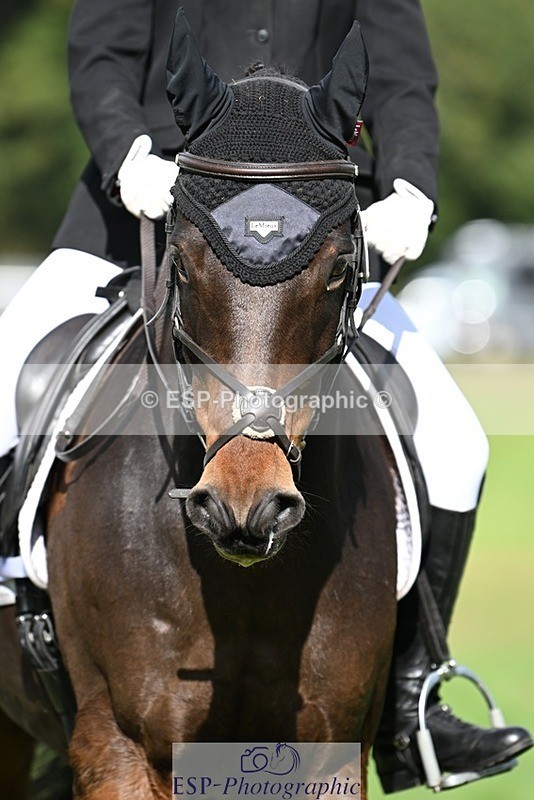 231020-140512-10545 - 494-WEST.FIELD.REBEL-Laura.Bilham-DR