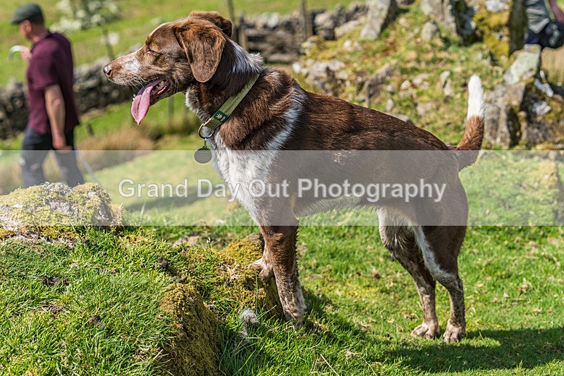 Glaramara-489 - Glaramara Fell Race Sunday 19th May 2024