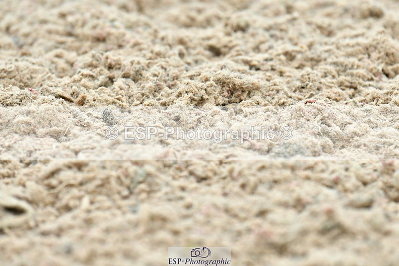 230630A-130029-02271 - Cls 8 Elementary 57