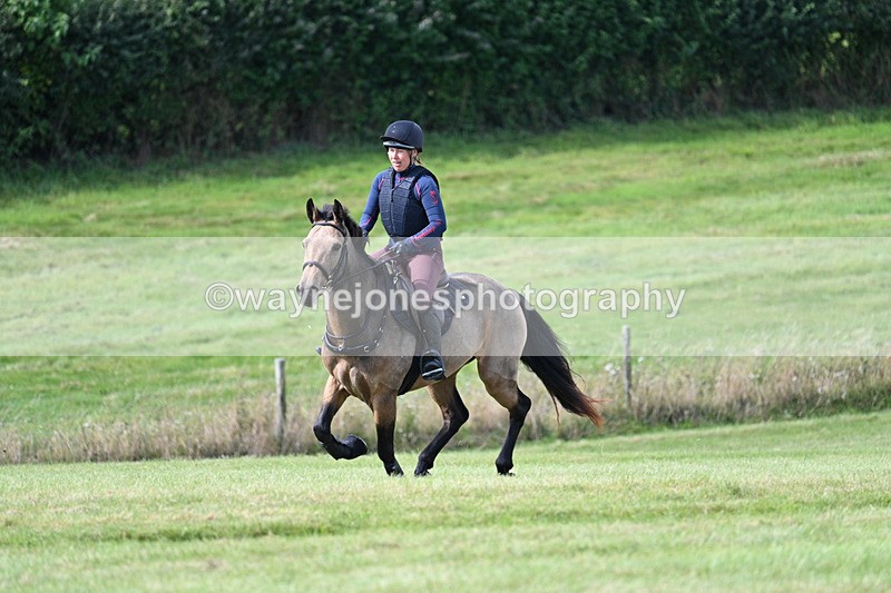 WJ7_6287 - Time 11:29 to 11:45