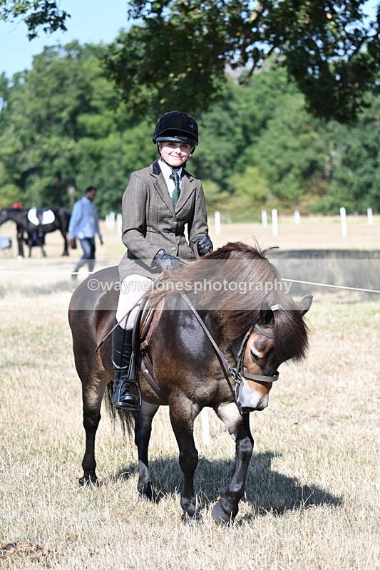 WJ7_3552 - Class 9 Mountain & Moorland Ridden