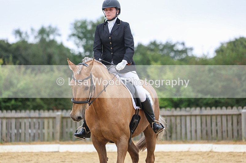 3E7A5045 - Class 2: Intro 4 2024 section B