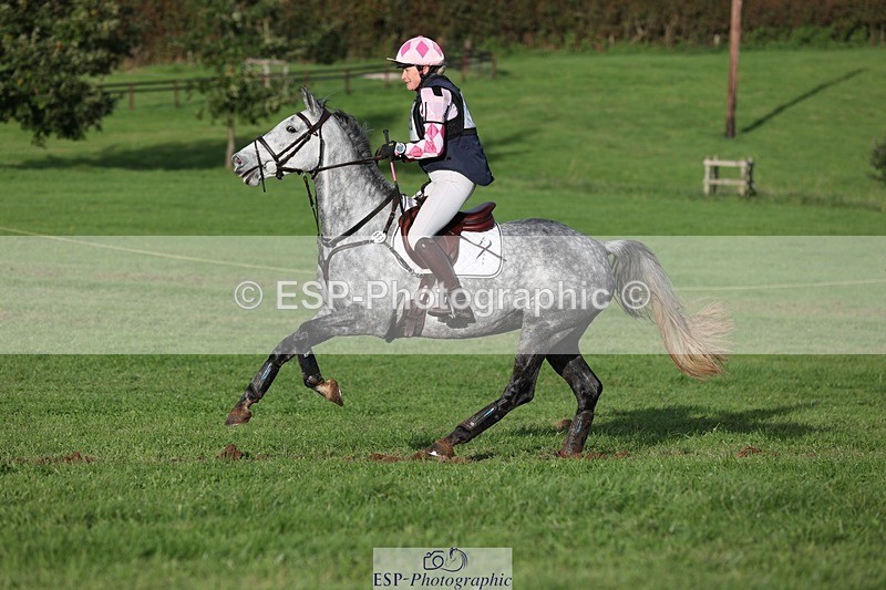 231021-160641-20538 - 553-HARLEQUIN.RABBIT-Althea.Bleekman-SC+XC