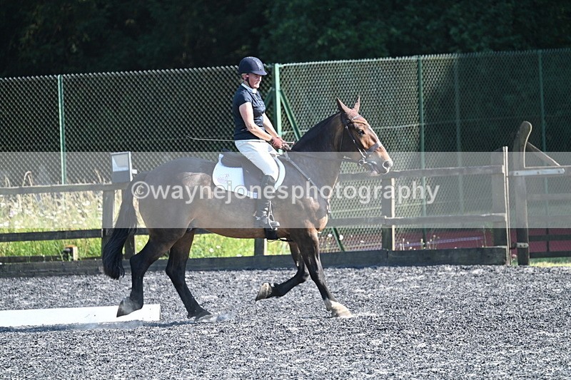 WJ7_8554 - Time 17:15 to 17:39