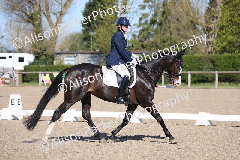 20250406-0411 - Class 3 - Novice 5