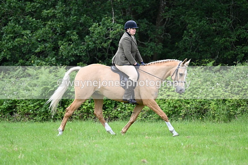 WJ7_2447 - Class 12A Coloured Class