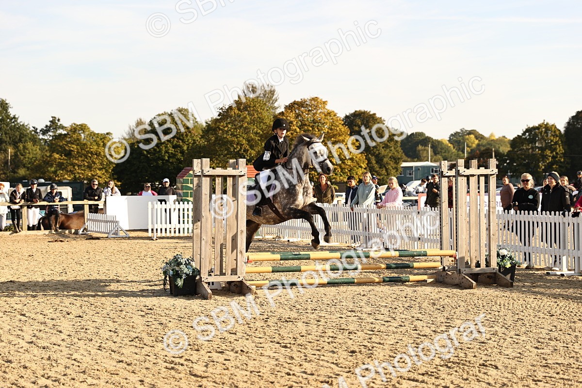 SBM_59500 - J11 - Junior Pony 50cm Championship