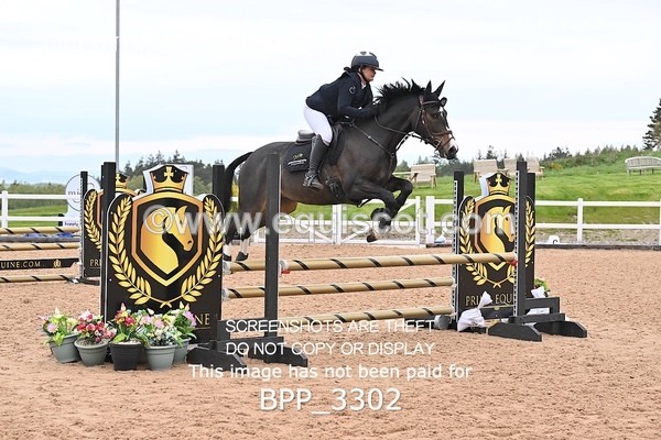 BPP_3302 - CLASS 13 - SAT - SENIOR BRITISH NOVICE / 90CM OPEN