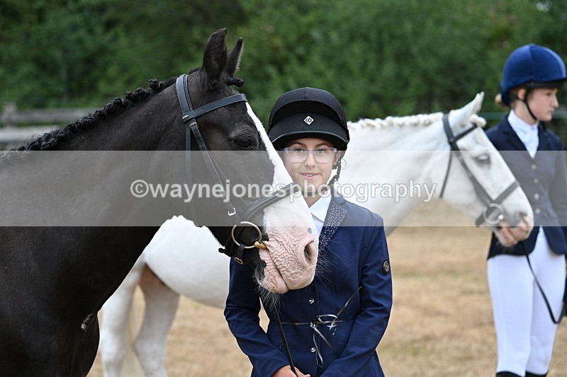 WJ7_9525 - Class 5 Most Handsome Gelding (up to 14.2hh)