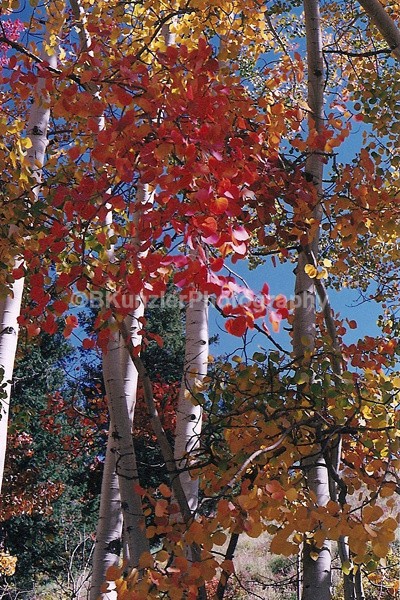  - Colorado