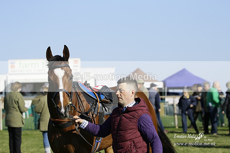 PtP 190322 630 - Wilton Hunt PtP Milborne St Andrew 19/03/22