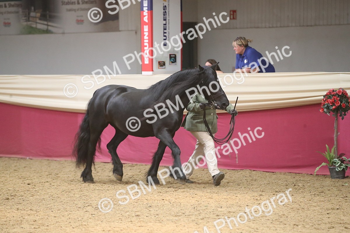 SBM_05542 - Class 9R - Regional IH Pre-Vet