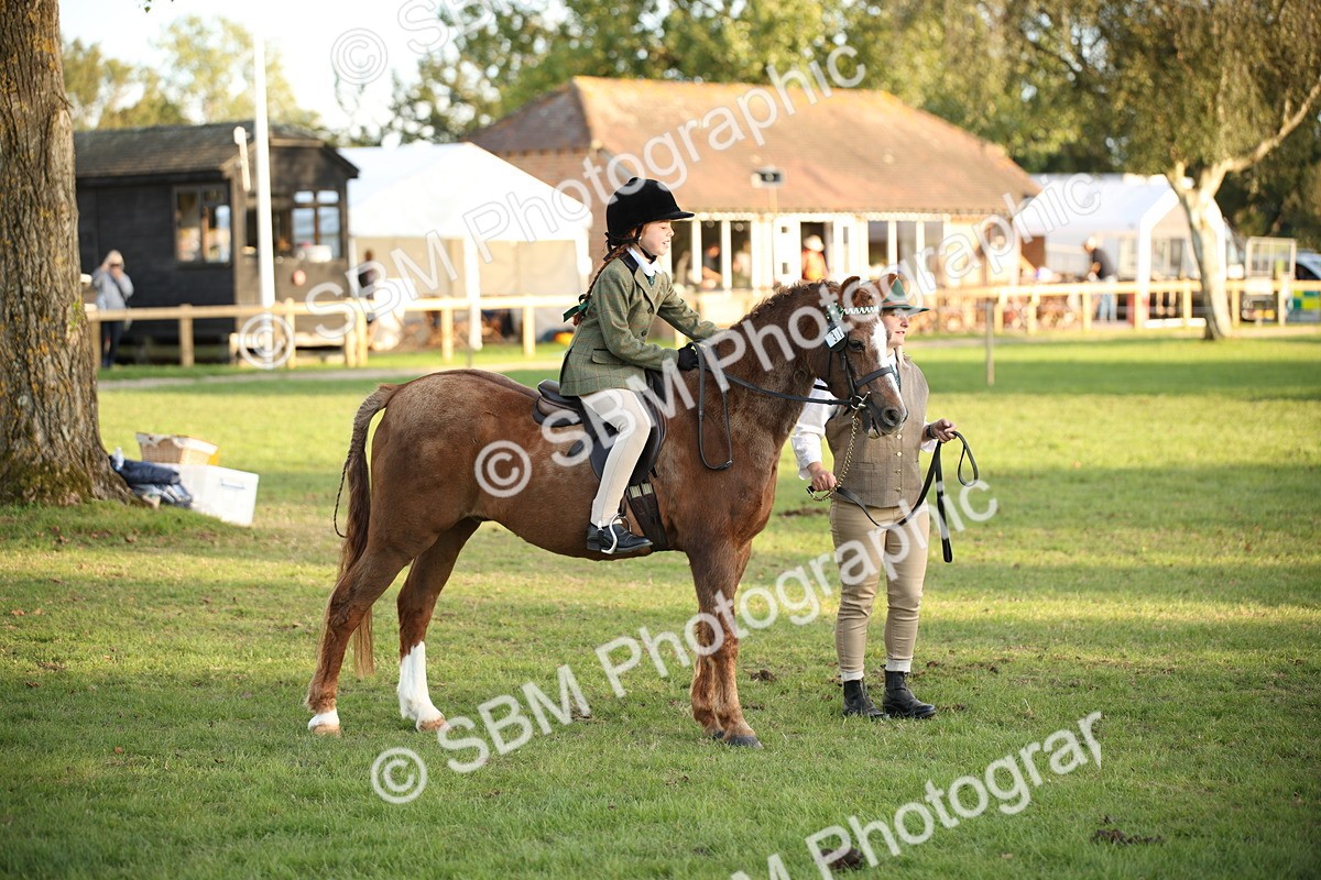 SBM_54459 - S27 - Mature Veteran - Ridden