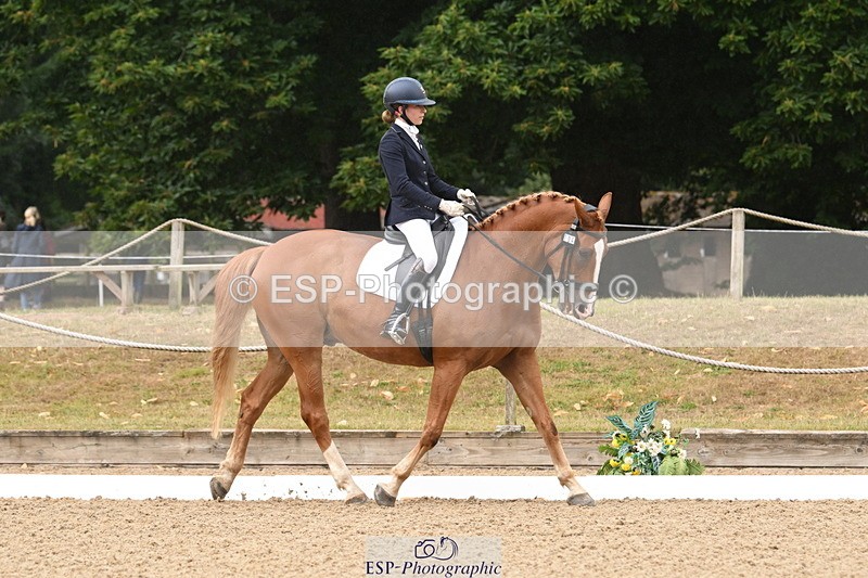 250720A-103332-09593 - 104-Molly.Northmore-Pennmoor.Liberation