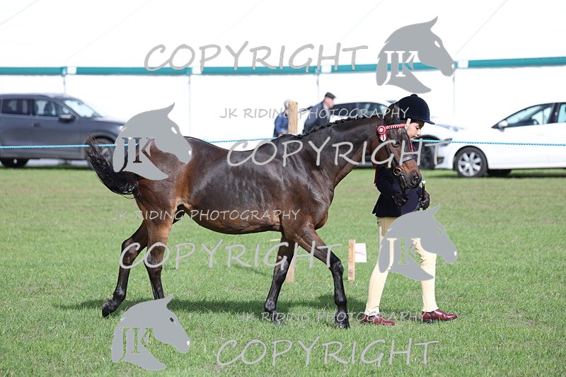 APP_2562 - Class 9 Veterans in hand