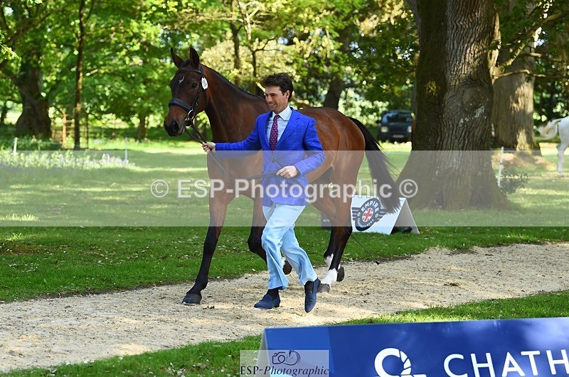 230524-162930-00903 - 104-GALAKIS_DE_L'OCEAN-Harry_Meade-WEDTrotUp+DR