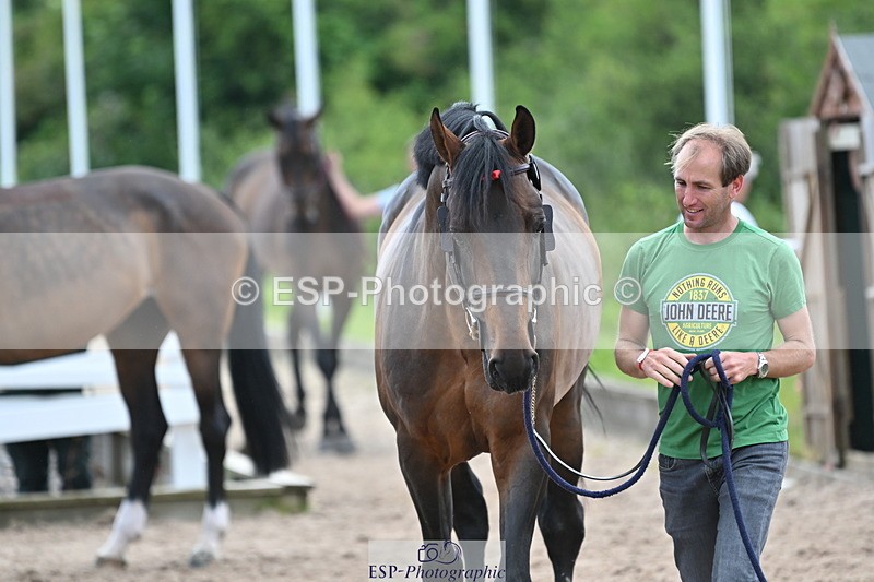 240717A-143126-02106 - Trot Up 2pm to 3pm - This folder is not in time order