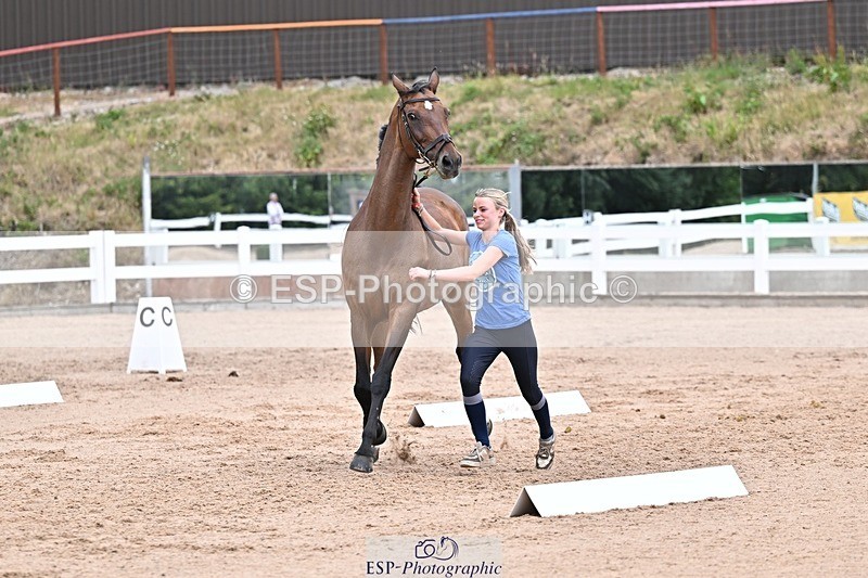 250716-133721-00596 - Trot Up 1.30 to 2.30