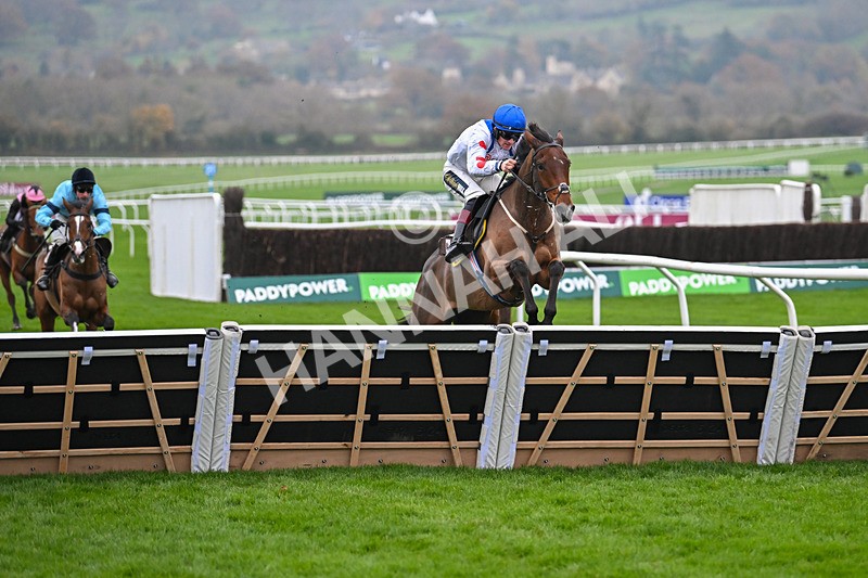 151124-Race 5-Potters Charm-8434 - Race 5