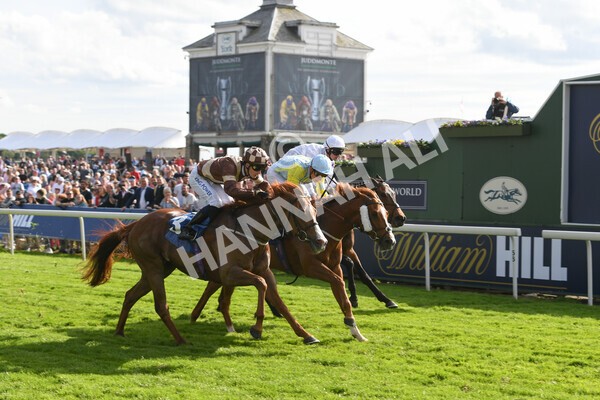 yr21052022r7-28 - Race 7: 5:15pm Reg Bond Always and Forever Stakes
