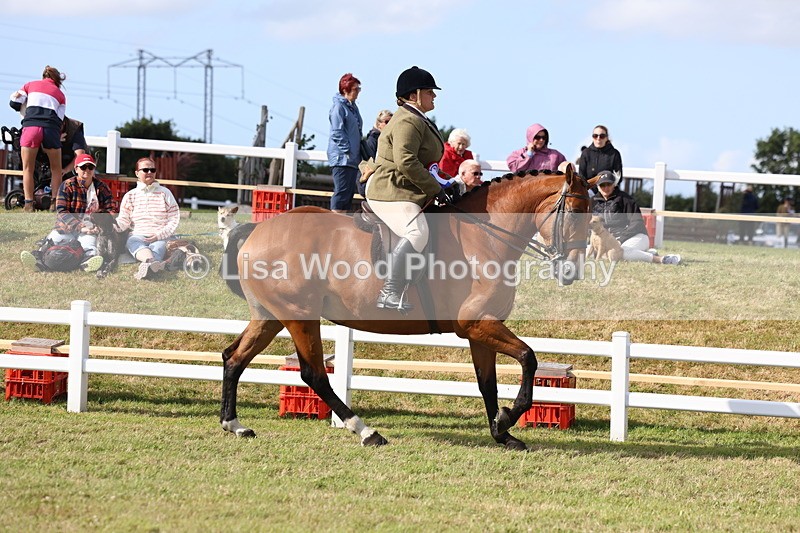 3E7A3884 - Supreme Championship