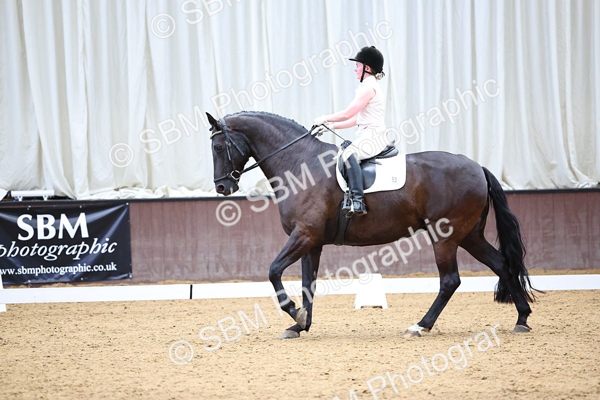 SBM_005551 - Elementary 2