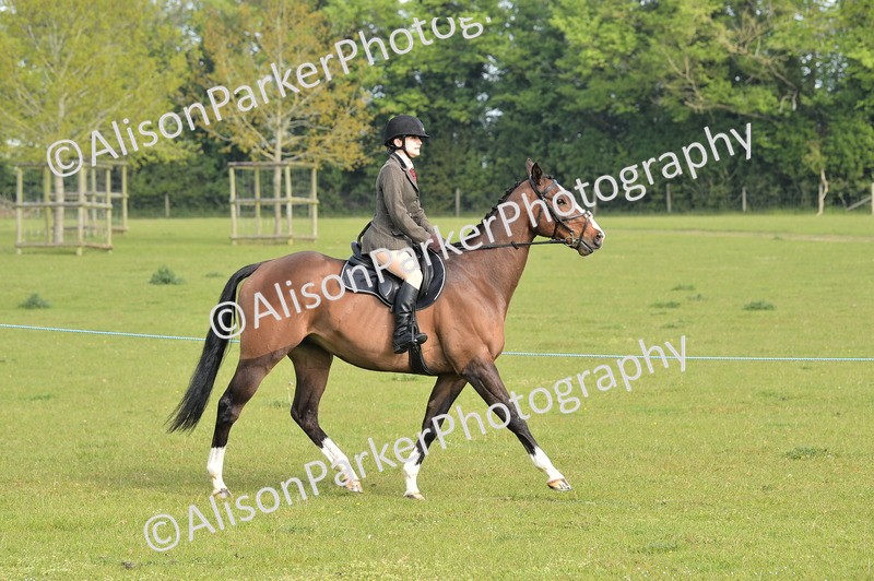 20260426-0878 - Class 18 - Novice Showing