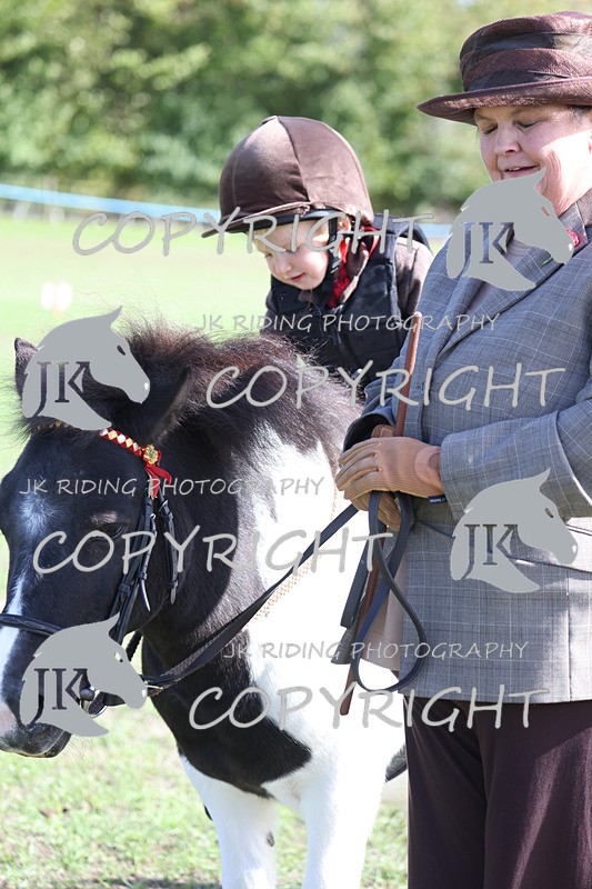 APP_3865 - Class 13 Lead rein