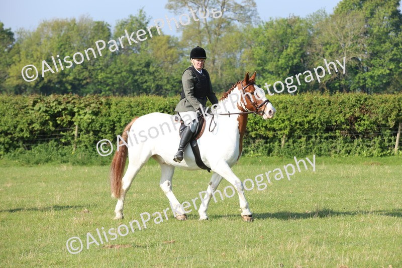 20250427-0507 - Class 17 - Novice Showing