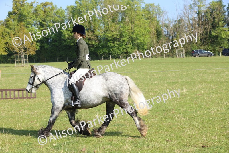 20250427-0519 - Class 17 - Novice Showing