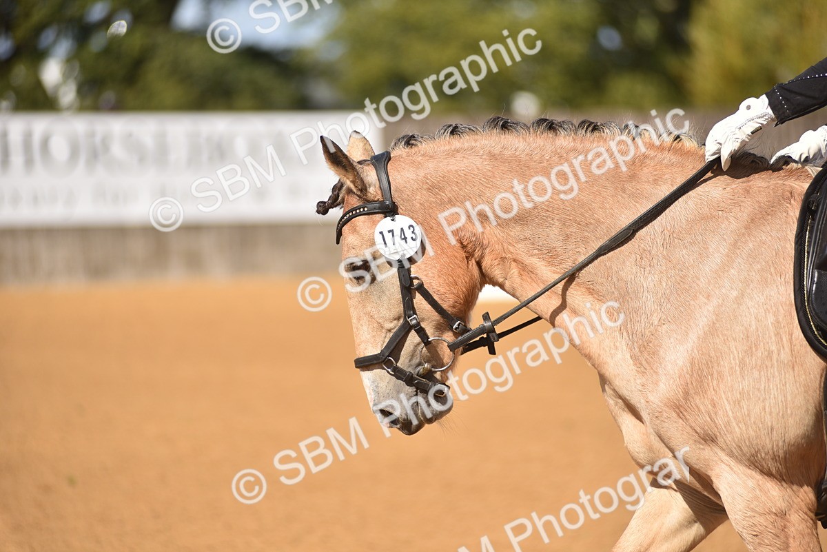 SBM_19943 - D4 - Small Tour Championship Intro 4