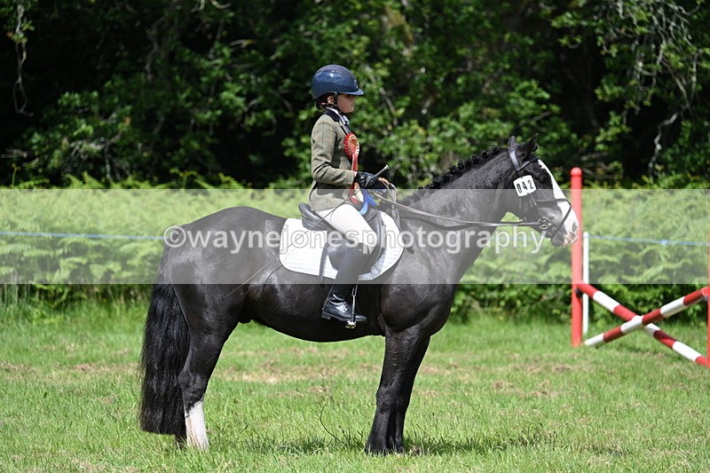 WJ7_1877 - Class 9 Pony Club Pony