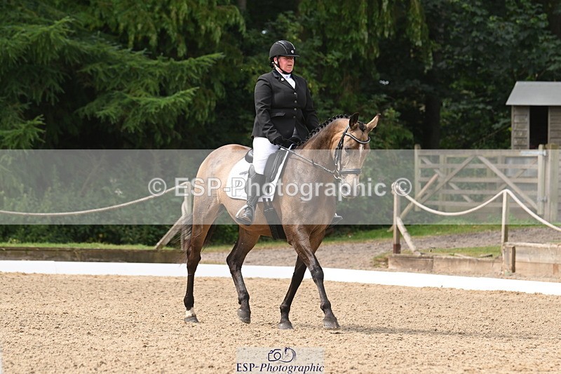 250719A-104637-04018 - 127-Jocelyn.Gilmore-Spring.Lily