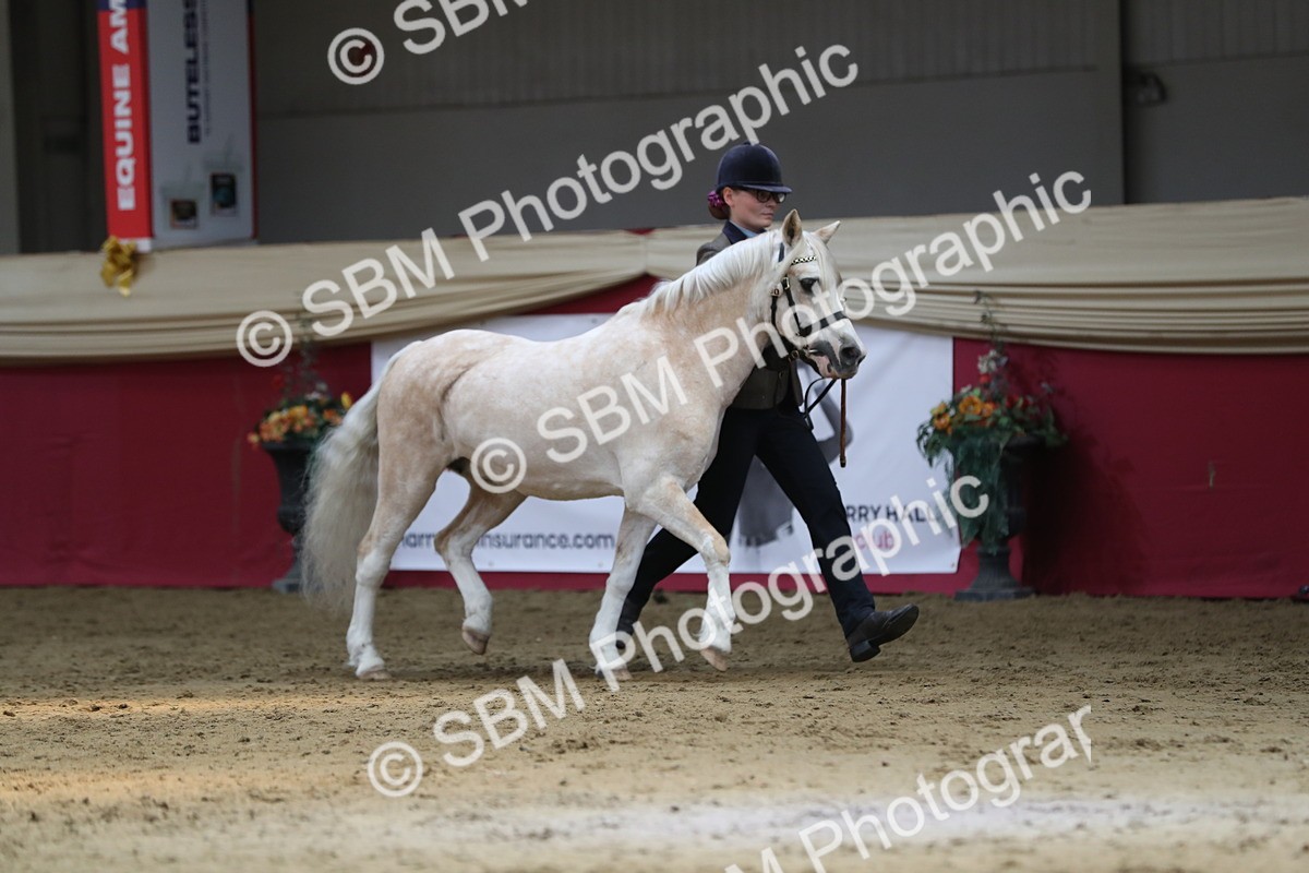 SBM_04326 - Class 7R Regional - IH Diamond