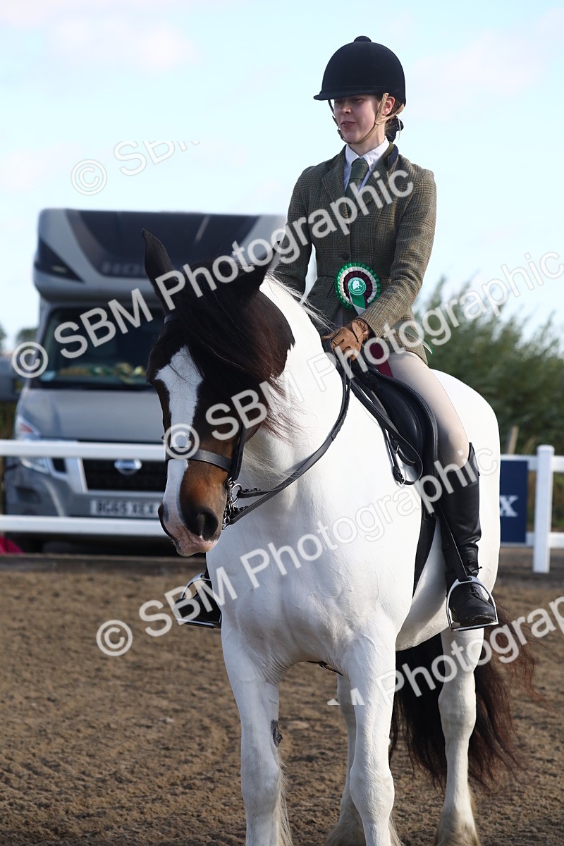 SBM_08607 - Class 502 - Riding Club Horse