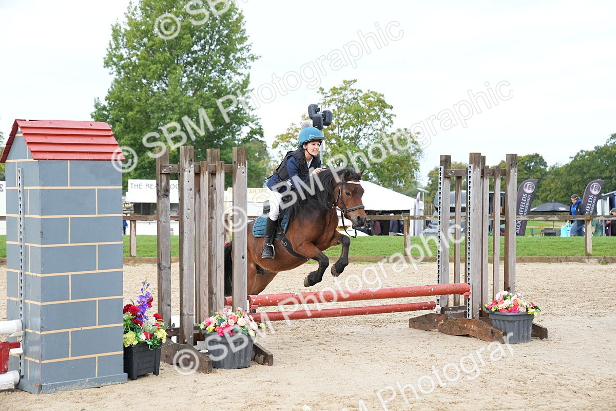 SBM_01950 - J54 - Clear Round 50cm