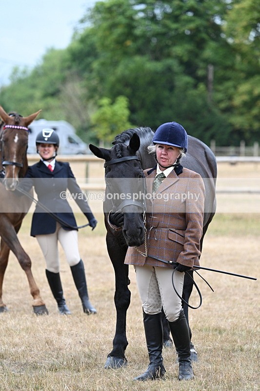 WJ7_0135 - Class 5a Most Handsome Gelding (above 14.2hh)