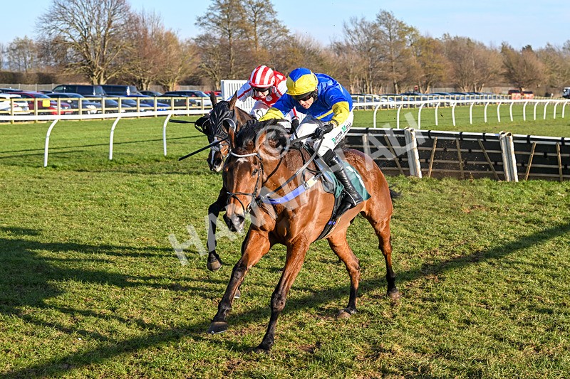 050325-Race 4-Hostile Hotelier-9886 - Race 4