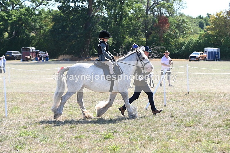 WJ6_7822 - Class 36 Lead Rein