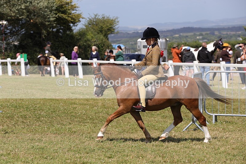1X9A5351 - Class 37: NPS M&M First Ridden