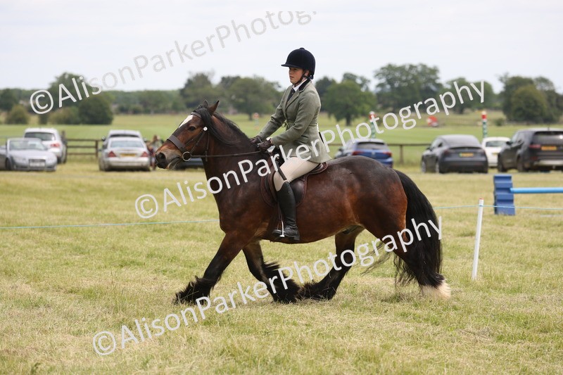 20260614-2938 - Class 22 - Open Working Hunter