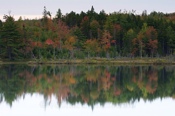 Autumn Colour - Nova Scotia, Canada