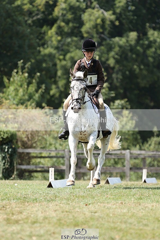 250823A-132027-31291 - Arena D