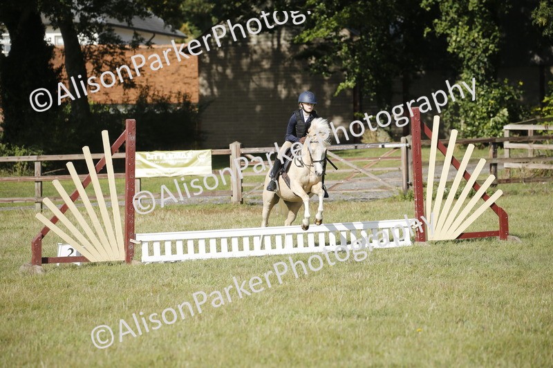 20250831-0201 - Class 1 - 50cm