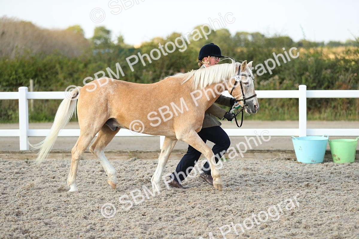 SBM_09124 - Class 29 IH Veteran Pony