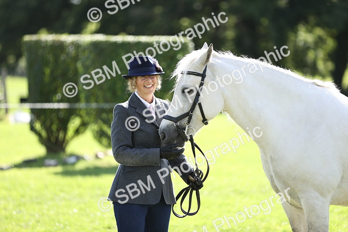 SBM_26211 - S5 - Novice & Newcomers In Hand