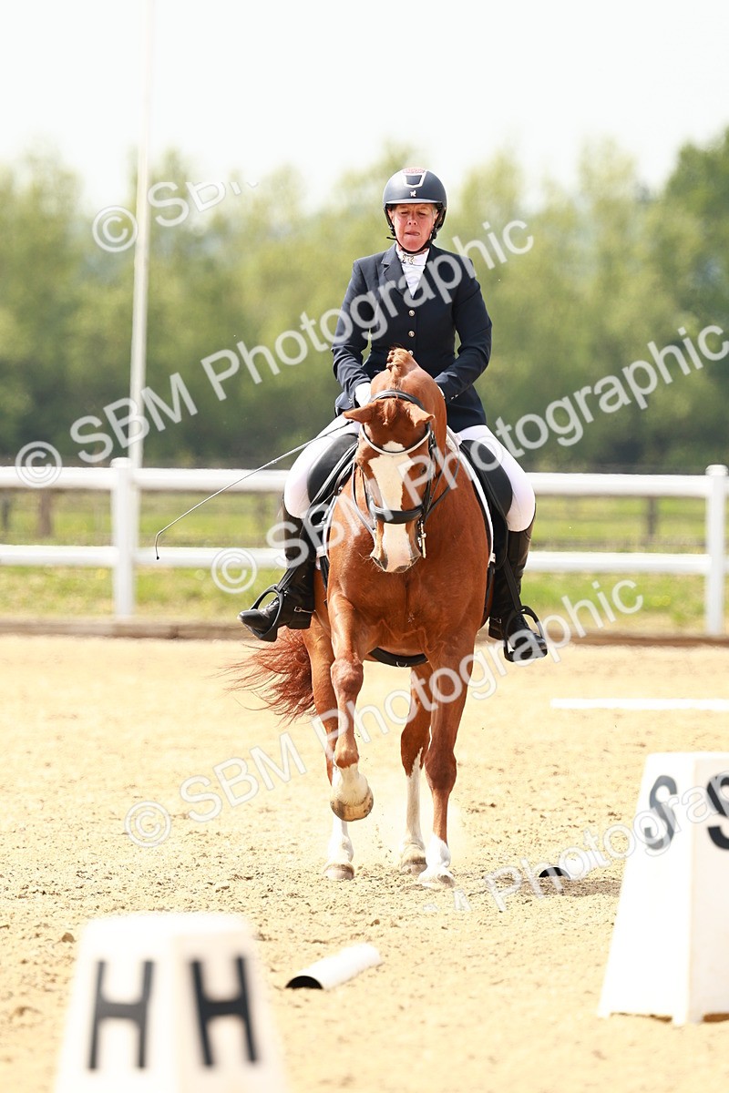 SBM_002886 - Class 12 - Medium 4